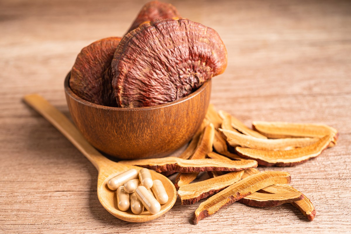 Pilze für die Gesundheit – was können „Vitalpilze“?