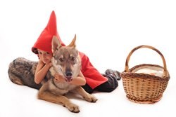 Die Angst vorm bösen Wolf