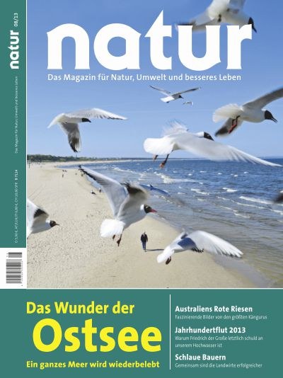 Das Wunder der Ostsee