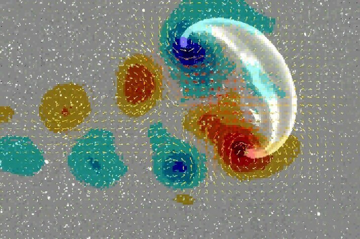 Sparsame Schwimmer