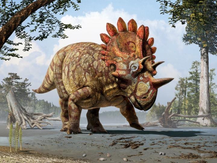 Gehörnter Neuling in der Dino-Familie