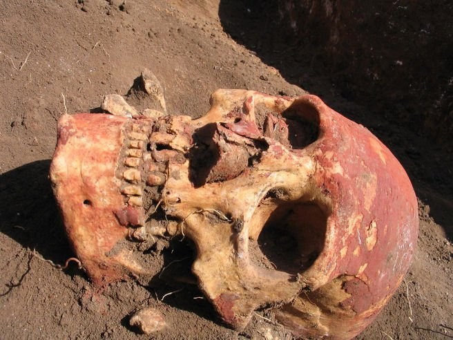 Pestspuren aus der Bronzezeit
