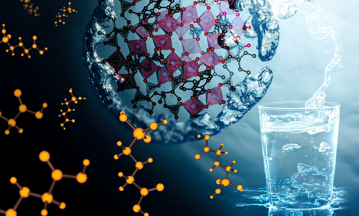Gerüstmolekül holt Glyphosat aus dem Wasser