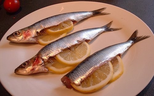 Vitamin D macht das Immunsystem scharf