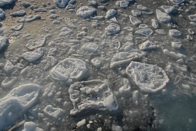 natur auf Leserreise: Von wandelndem Klima und packendem Eis
