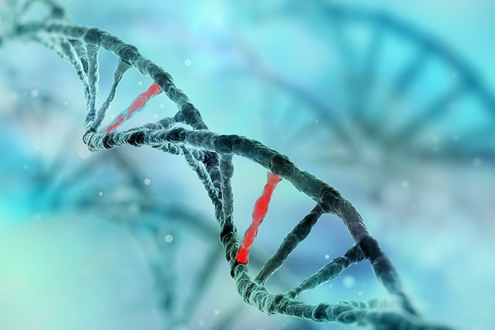 Bakterium mit künstlichen DNA-Buchstaben