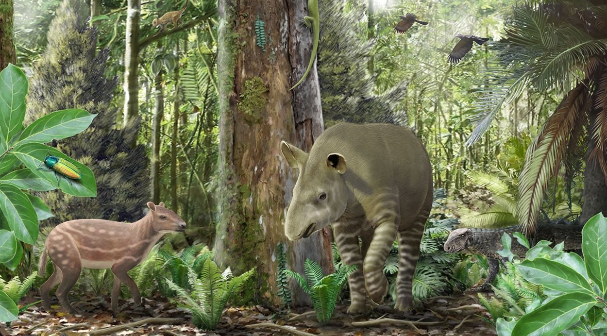 Evolution: Das Rätsel der Körpergrößen