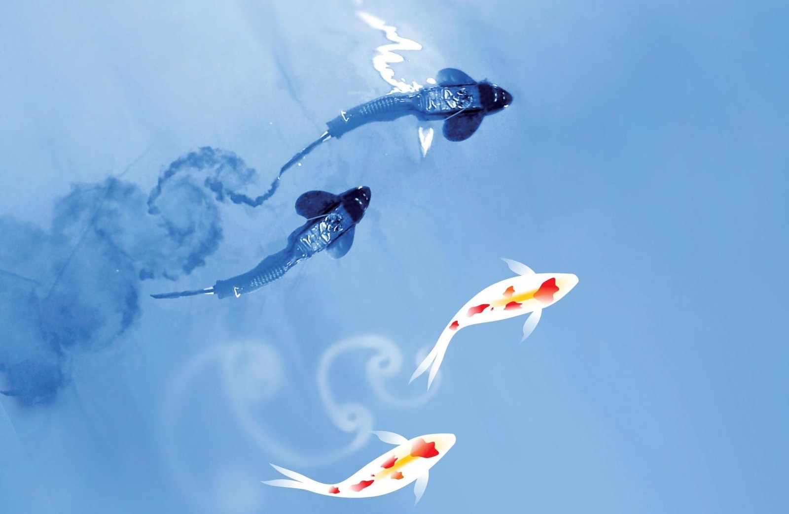 Schwarm-Forschung mit Fisch-Robotern