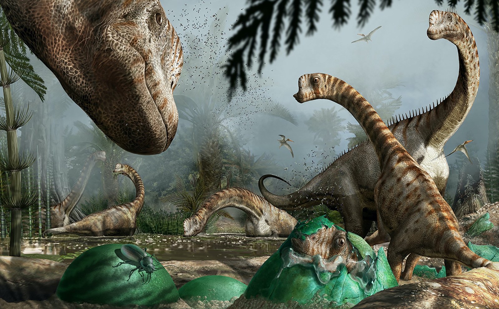 Neues zum deutschen „Schrumpf-Dino“