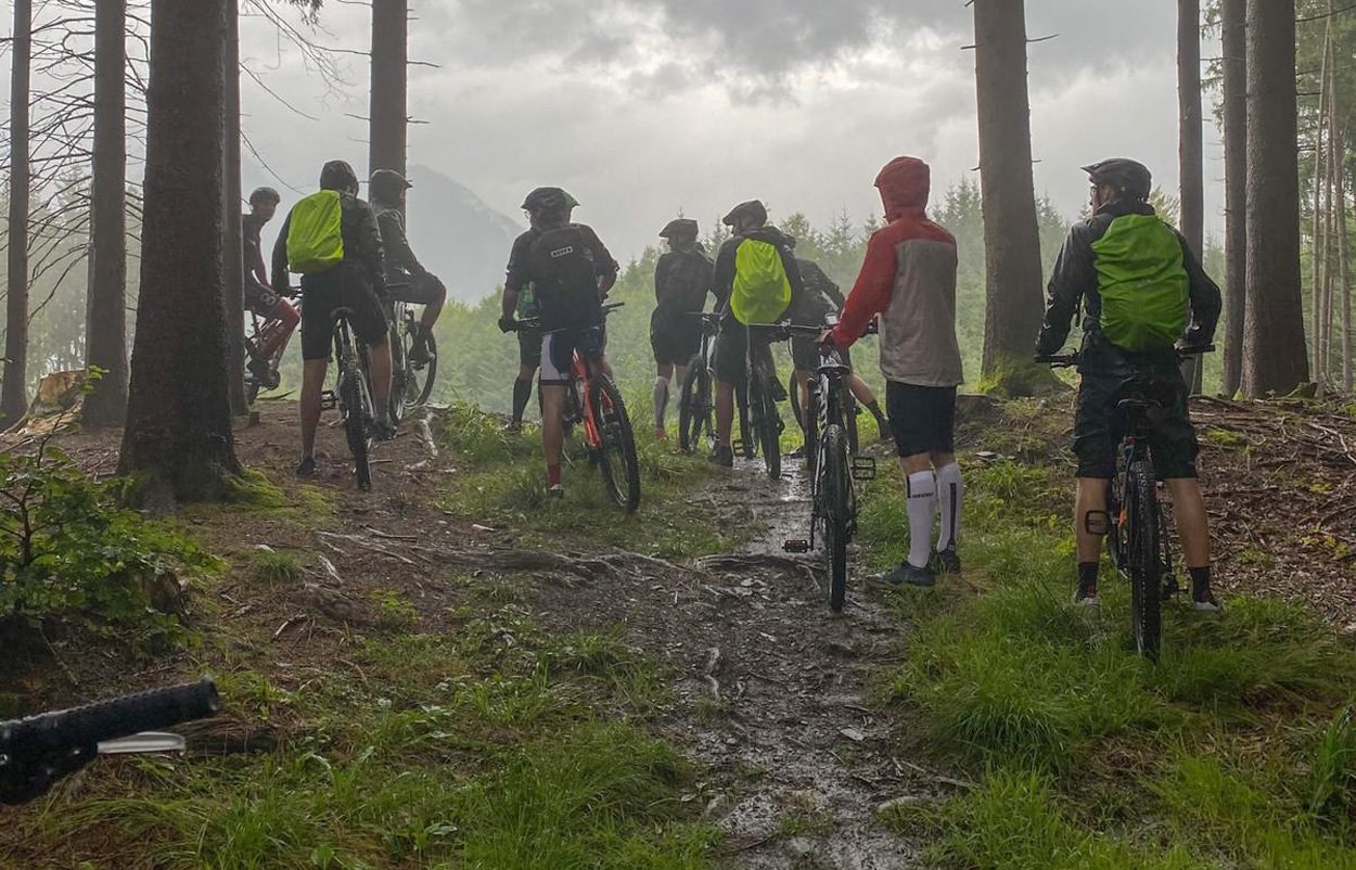 Welche Folgen hat Mountainbiken für die Natur?