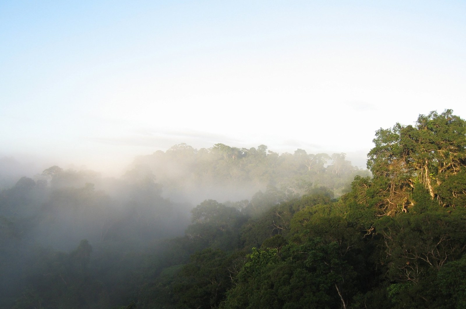 Amazonas: Schutz der Täler besonders wichtig