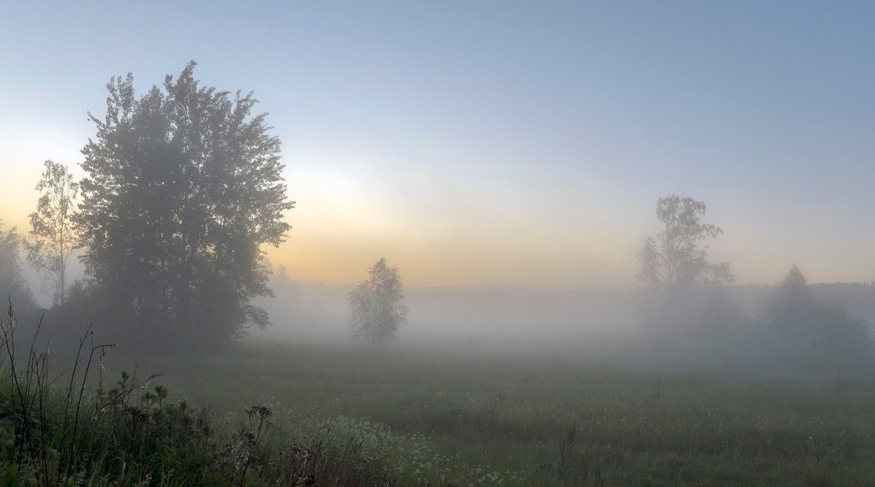 Der Nebel lebt!