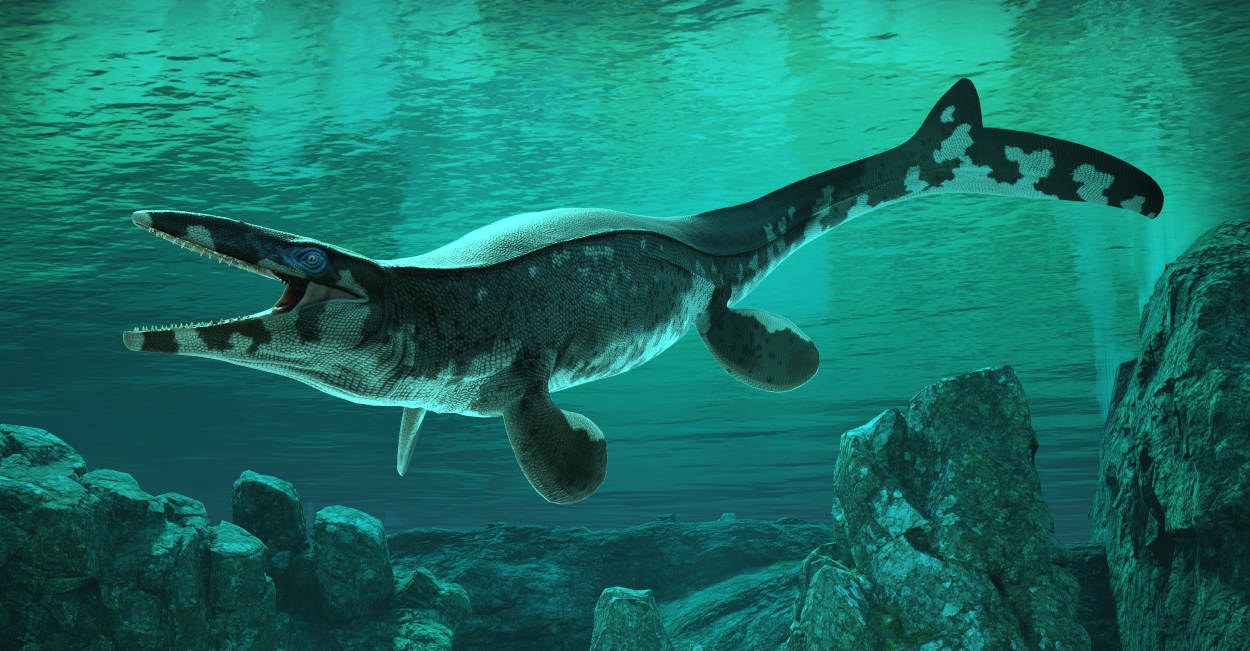 Dieser T. rex war ein Herrscher der Meere