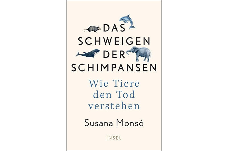 Konzepte vom Tod