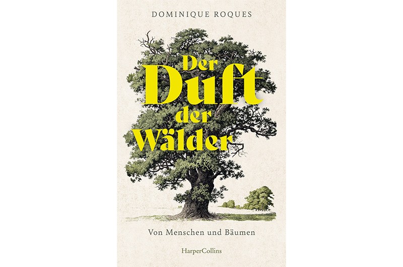 Mit Bäumen um die Welt