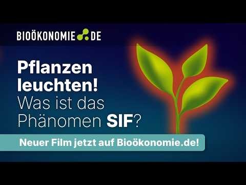Satelliten messen, wie glücklich Pflanzen sind