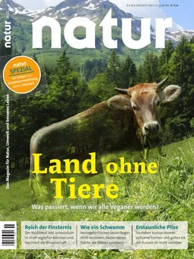 Land ohne Tiere