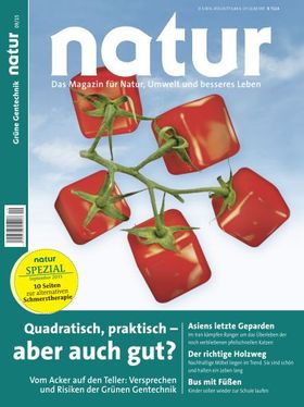 Quadratisch, praktisch - aber auch gut?