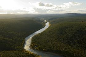 Gefährdete CO2-Speicher: Neue Initiativen zum Waldschutz
