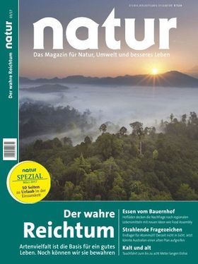 Der wahre Reichtum