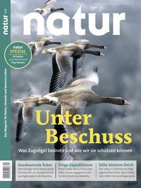 Unter Beschuss
