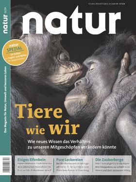 Tiere wie wir