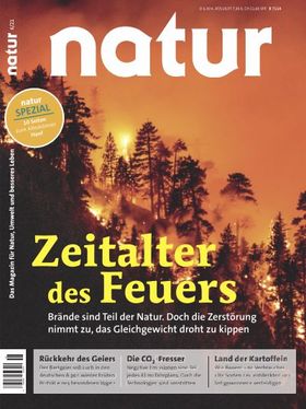 Zeitalter des Feuers