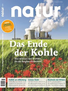 Das Ende der Kohle