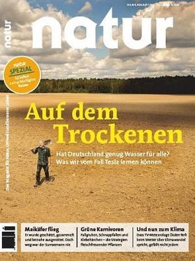 Auf dem Trockenen