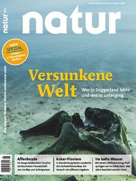 Versunkene Welt