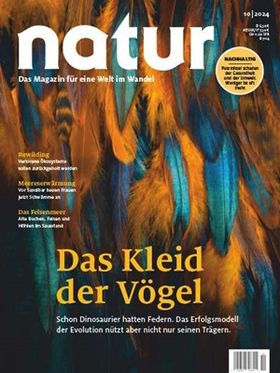Das Kleid der Vögel