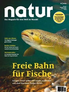 Freie Bahn für Fische