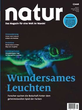Wundersames Leuchten
