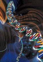 Epigenetik: Vererbung ist mehr als die Summe der Gene