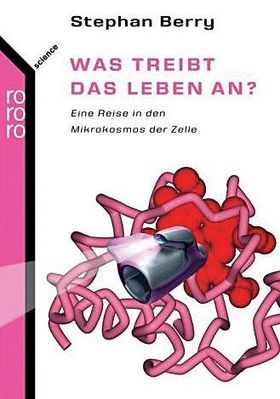 Was in der Zelle geschieht