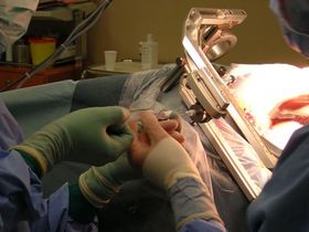 Bösartige Spuren im Blut