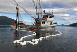 "Ein guter Tag für die Fische Europas"