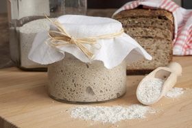 Wider den Brotschimmel