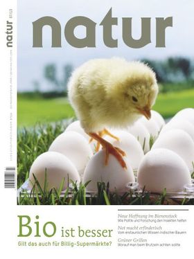 Bio ist besser! Gilt das auch für Billig-Supermärkte?