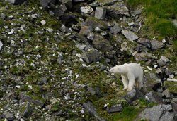 Gesichter des Klimawandels
