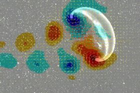 Sparsame Schwimmer