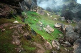 Vulkane: Rettungsinseln des Lebens in kalten Zeiten