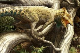 Mini-Dino liefert große Einblicke