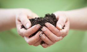 Frisst der Klimawandel den Humus?