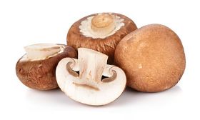 Umweltfreundliche Champignon-Akkus?