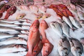 Fisch und Co falsch etikettiert