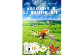Im Schatten der Honigbiene