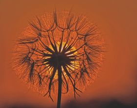 Abendlicher Feuerball