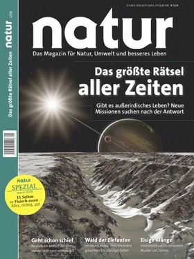 Das größte Rätsel aller Zeiten