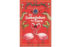 Kinder-Lesestoff